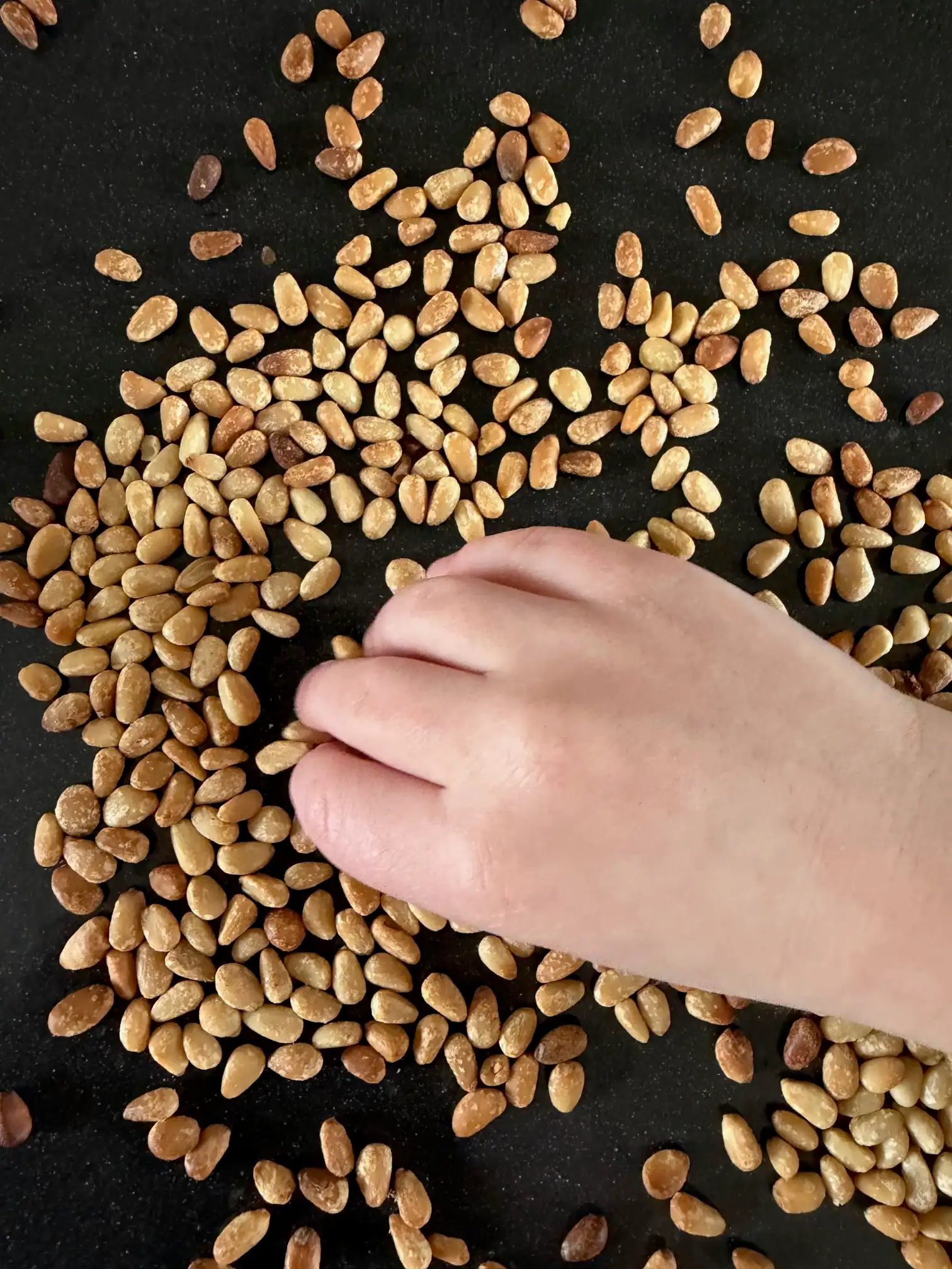 child pinching toasted pine nuts
