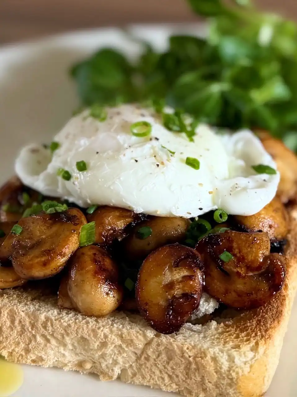Mushrooms on toast with poached egg