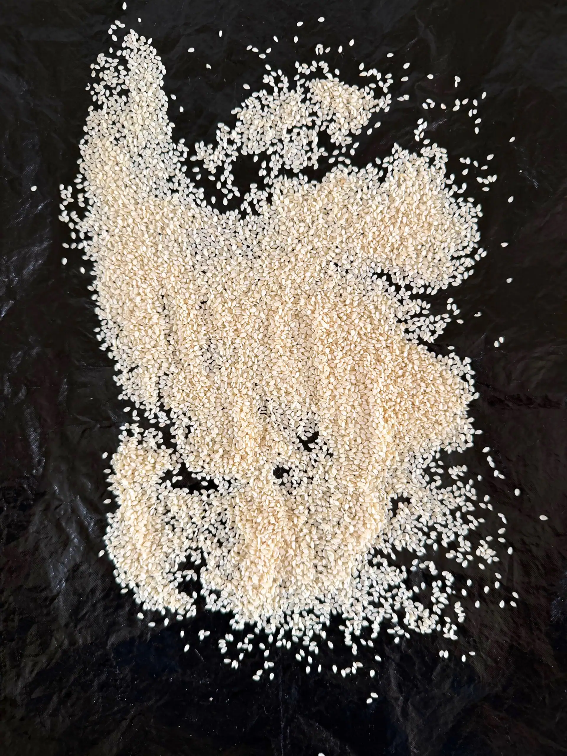 sesame seeds uncooked on a  tray
