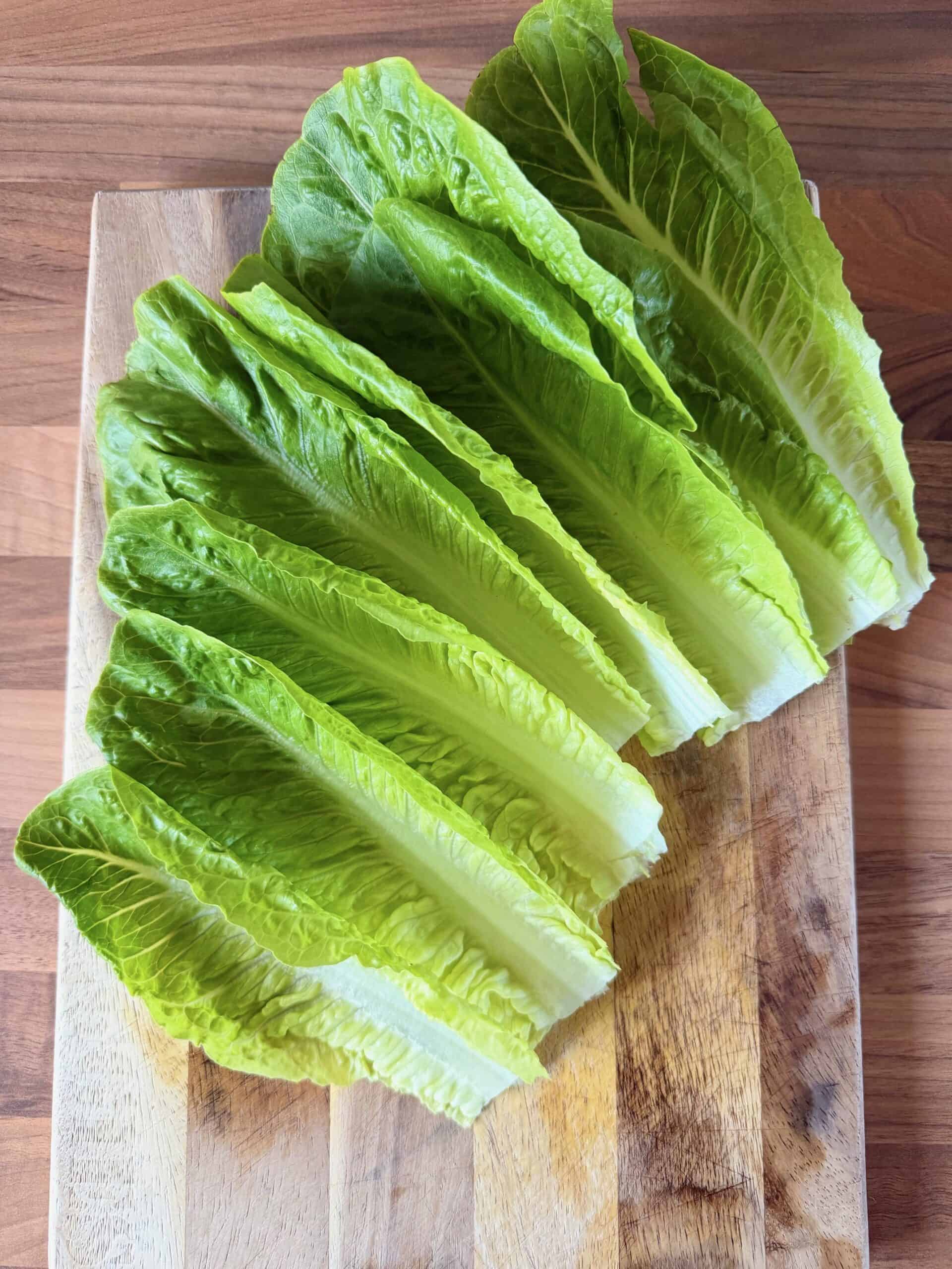 Romaine lettuce