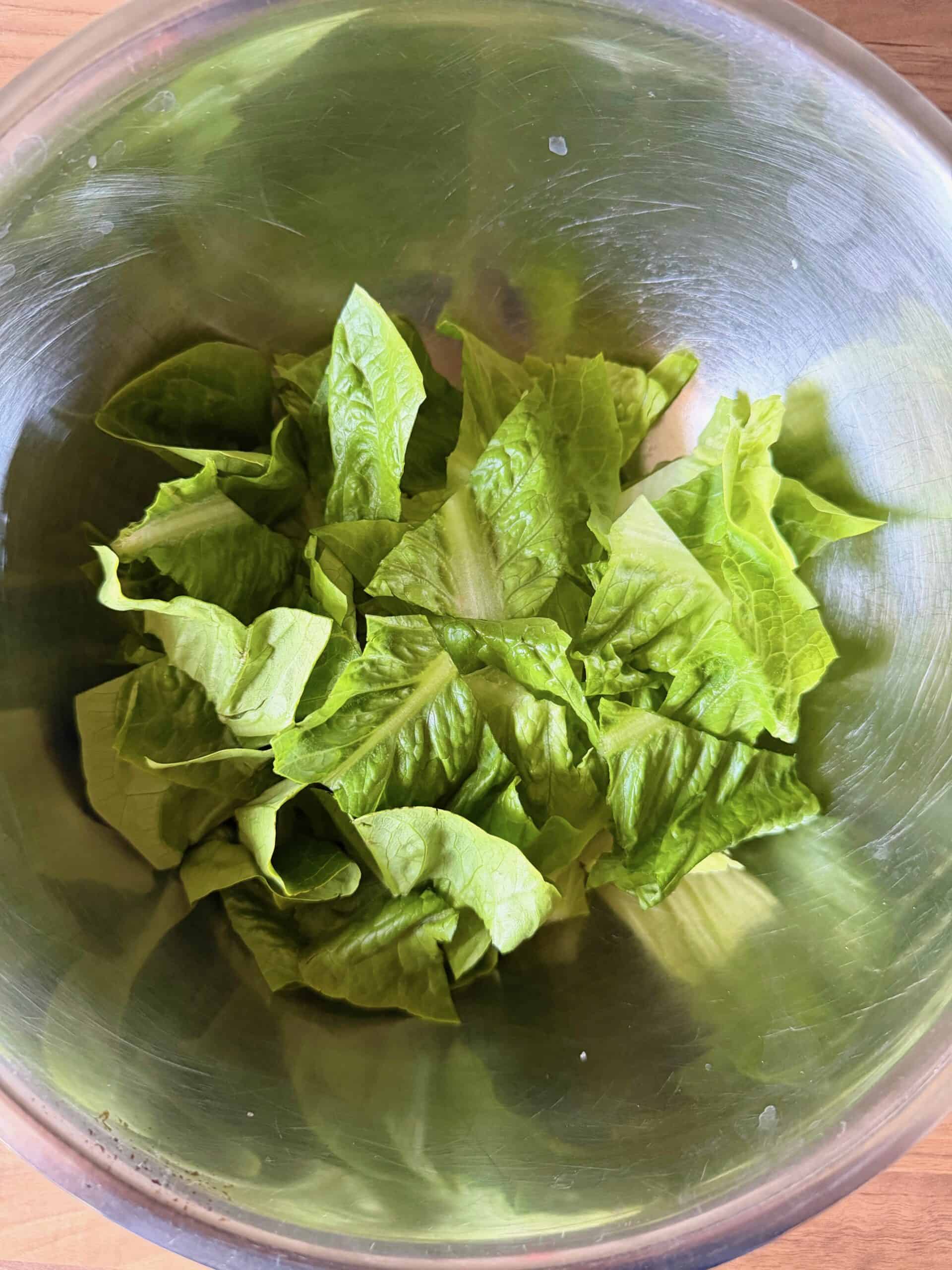 cut romaine lettuce in a bowl