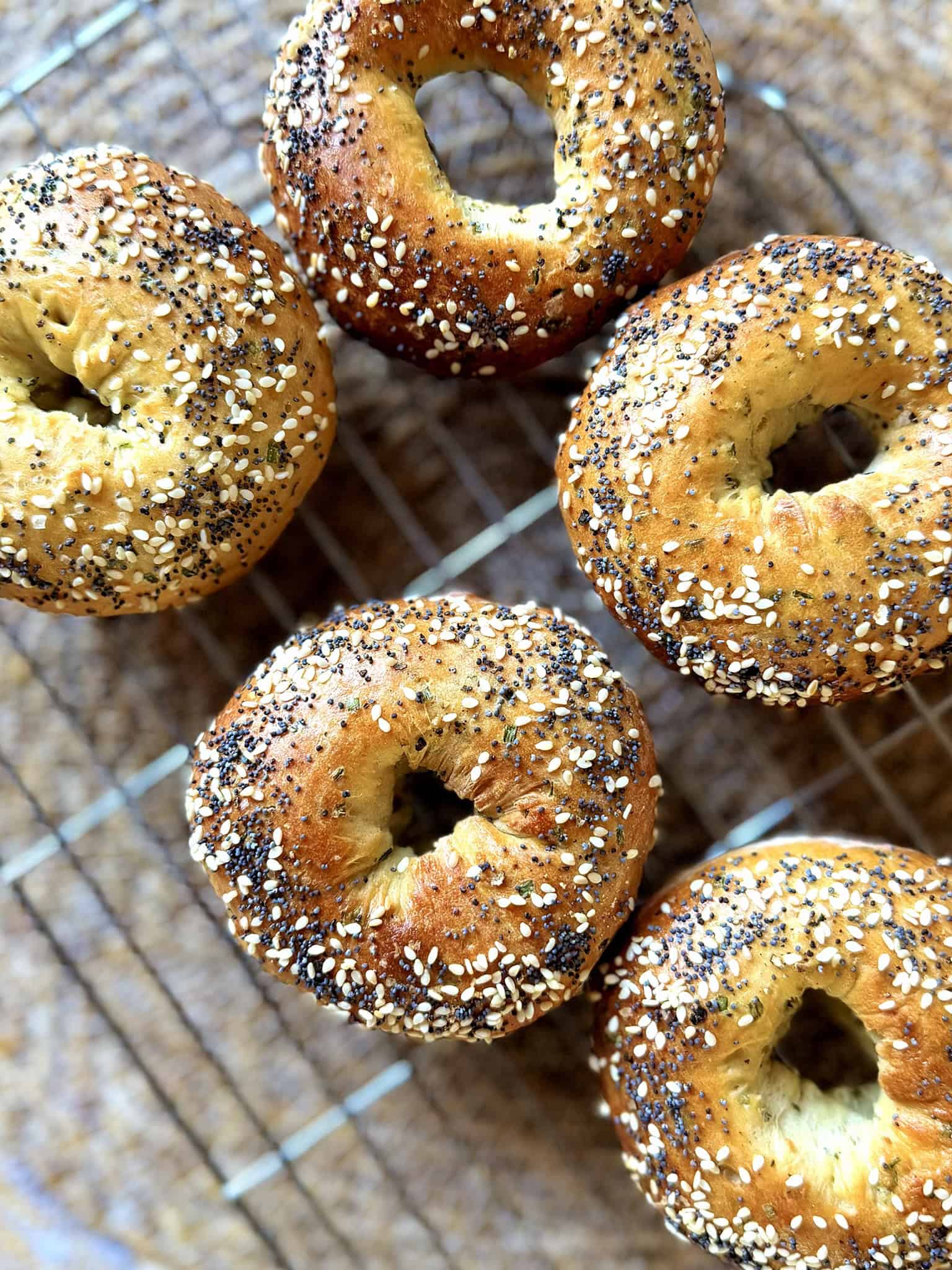 cottage cheese bagels cooling