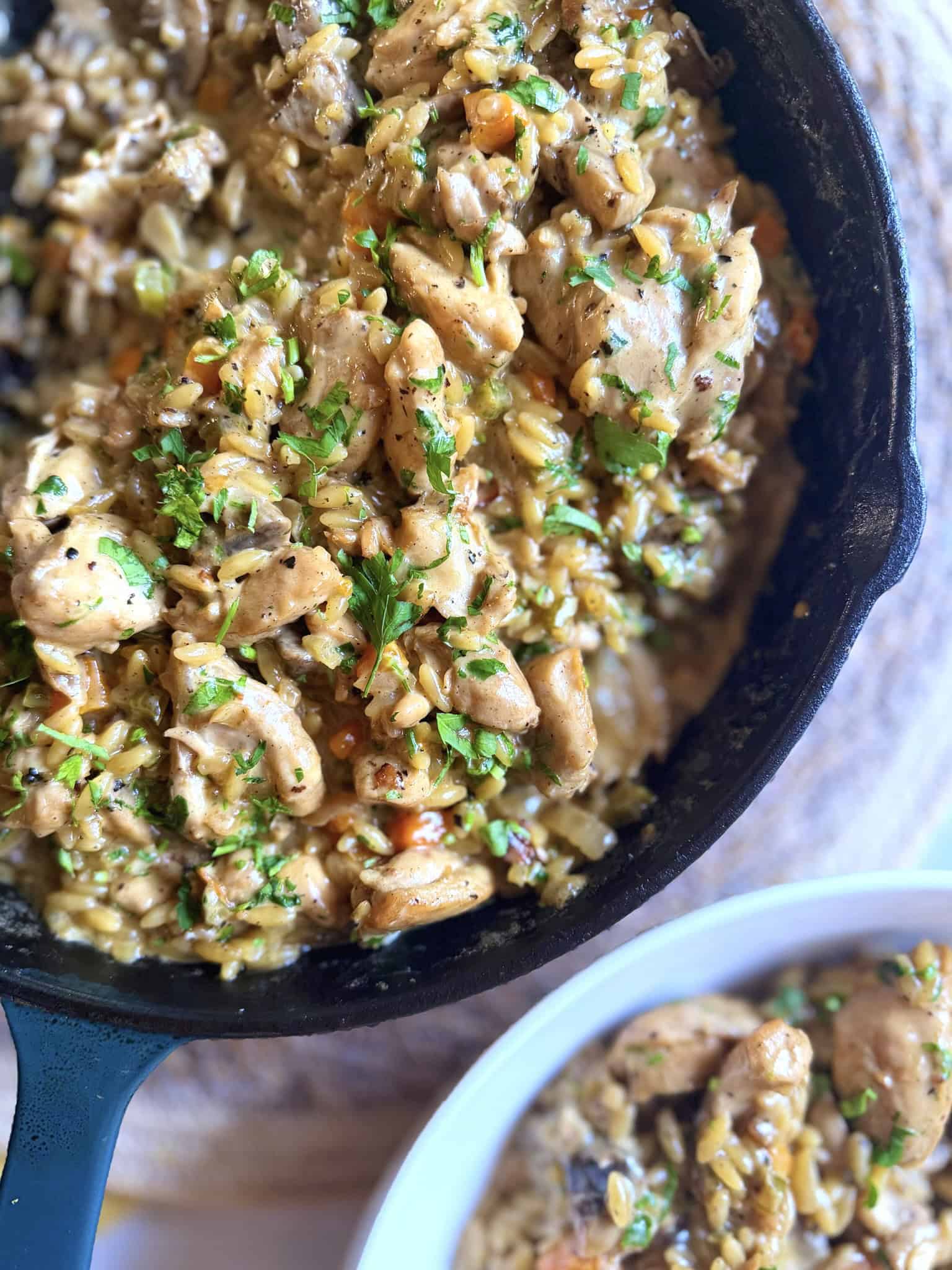 Chicken orzo close up