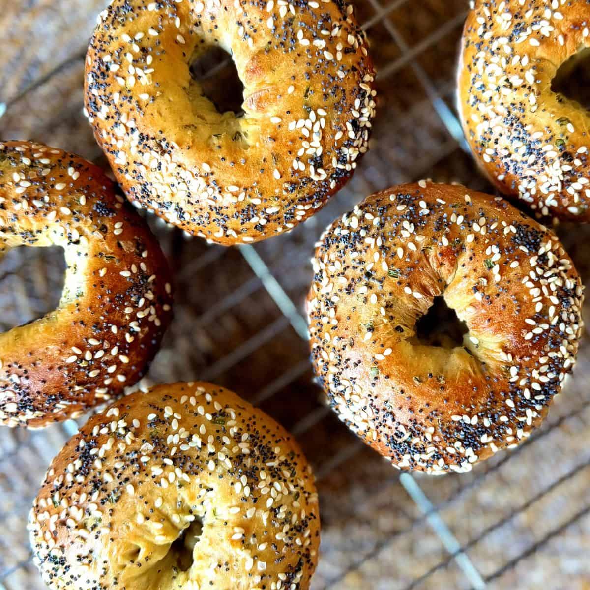 bagels on cooling rack