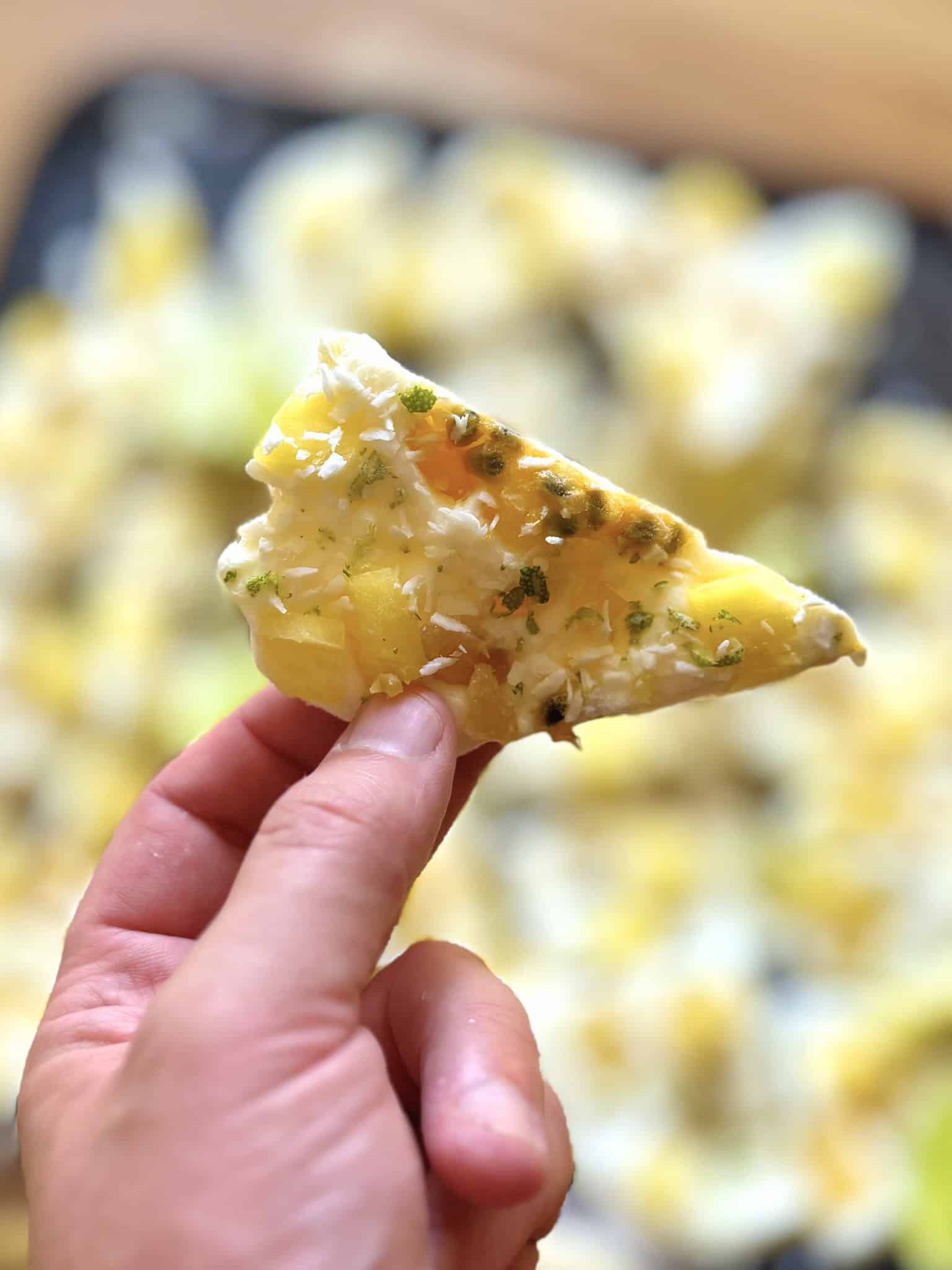 Yogurt bark piece close up
